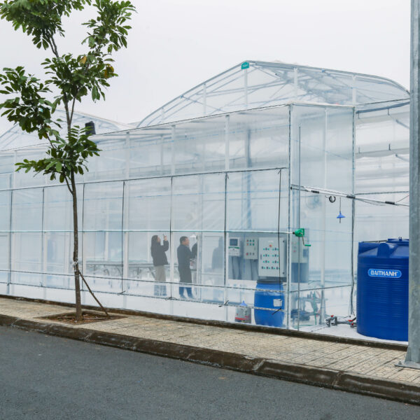 NĂM MỚI, GÕ CỬA NHÀ KÍNH MỚI!